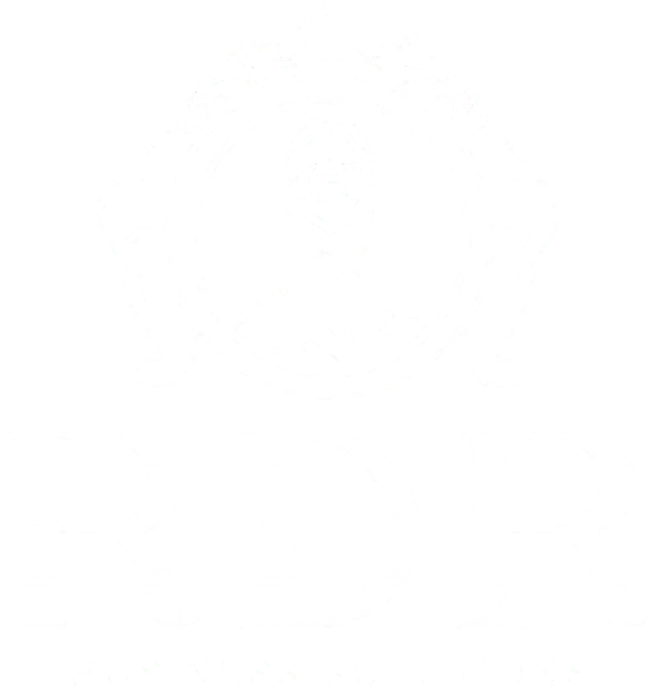 RDR